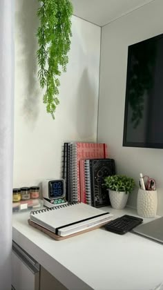 a white desk topped with books and a laptop computer next to a plant on top of it