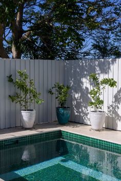 Stunning fully-tiled plunge pool in CMC333 Moroccan Green 48mm with Linen Travertine coping and surrounds. Green Mosaic Tiles, Green Mosaic