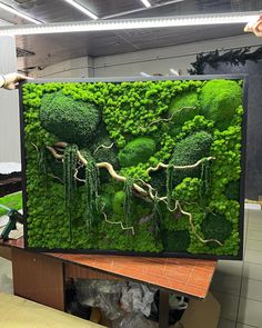 a green moss covered wall with trees and plants in the center is being worked on