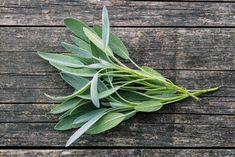 fresh sage leaves on a wooden surface