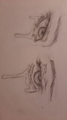 two drawings of an eye and a worm