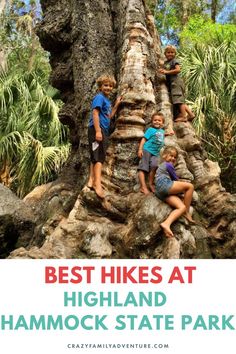 Searching for fantastic kid-friendly hikes in Florida? Look no further than Highland Hammock State Park! This park offers a captivating hiking experience suitable for all ages. Discover why this hike is a must-visit, with all the essential trip planning information, including camping, hiking, tours, kids' activities, and more. Explore our posts for in-depth details and see why Highland Hammock State Park is the perfect destination for outdoor adventurers and families alike! Hiking In Florida, Best Beach In Florida, Beautiful Park, Rv Travel, Road Trip Itinerary