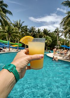 a person holding up a drink in front of a swimming pool