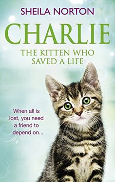 the kitten who saved a life by sheila northon is featured in this book cover