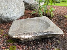 a stone bowl sitting on the ground in front of some large rocks and plants with moss growing out of it