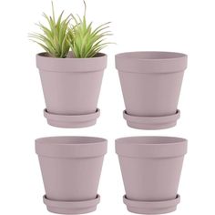 four purple pots with plants in them on a white background, set of three different sizes