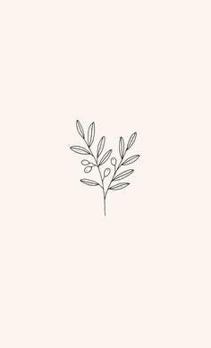 Olive spring drawing botanical illustration by Ryn Frank www.rynfrank.co.uk Olive Flower Drawing, Olive Branch Art Simple, Olive Branch Wallpaper Iphone, Olive Tattoo Small Simple, Olive Tree Simple Drawing, Olive Branch Doodle, Olive Tree Line Art, Simple Olive Branch Drawing, Biblical Plant Tattoos