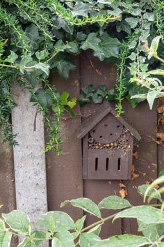 a birdhouse is hanging on the side of a fence surrounded by green leaves and vines