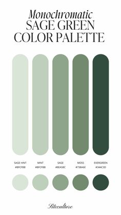 Green Interior Colour Palette, Cool Greens Palette, Sage Green Shades Colour Palettes, Color Palette Of Green, Colors Green Palette, Colors That Look Good With Sage Green, Green Paint Room Ideas Bedroom, Green Scheme Colour Palettes, Colour Green Palette