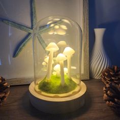 a group of mushrooms under a glass dome on a table next to some pine cones