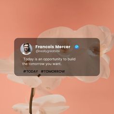 a white flower with a pink background and a tweet on the screen above it