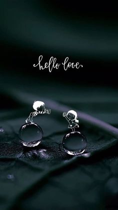 two rings with skulls on them are sitting on a black surface and the words hello love written in white