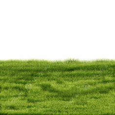 an elephant standing in the middle of a grassy field