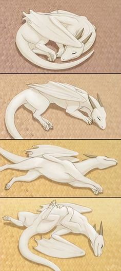 four different types of white dragon papercrafts are shown in three separate sections, each with