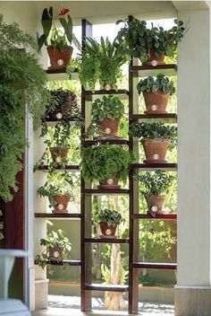 an open window with potted plants on it