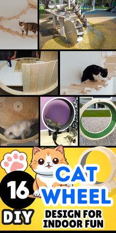 cat wheel design for indoor fun with pictures and instructions to make it look like an animal