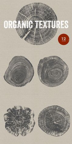 four different types of wood are shown in this graphic design set, including the tree rings and