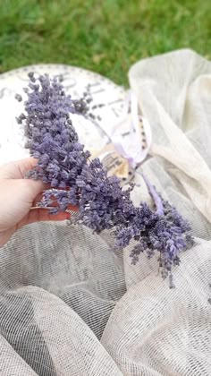 a person is holding some purple flowers in their hand