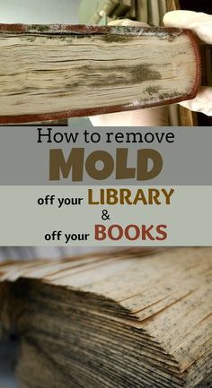 how to remove mold off your library and book's cover with text overlay