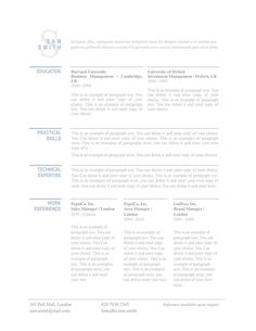 clean and clear Resume Profile, Resume Icons, Best Resume Format, Manager Resume