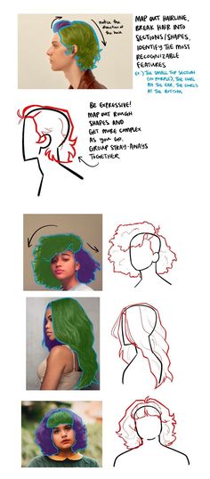 some different types of hair are shown in this drawing style diagram, and each one is colored