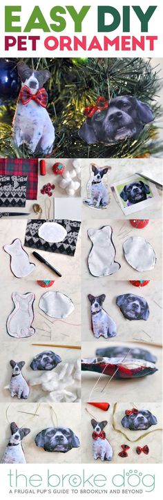 an easy diy pet ornament for christmas