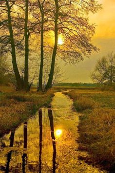 the sun is setting behind some trees near a small stream that runs through an open field