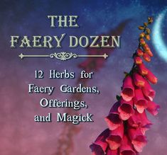 the faerie dozen 12 herbs for fiery gardens, offerings, and magick cover