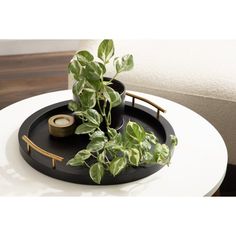 a potted plant sitting on top of a white table next to a black tray