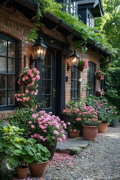 many potted flowers are in front of a brick building