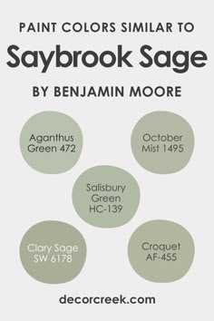 Colors Similar to Saybrook Sage HC-114  by Sherwin-Williams Sage Green Paint Colors Living Room, Sherman Williams Green Paint, Saybrook Sage Benjamin Moore, Indoor Paint Ideas, Bm Paint Colors, Liveable Green, Green Colour Schemes, Softened Green, Saybrook Sage