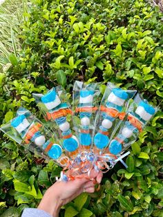 a hand holding a bunch of candy lollipops in front of some bushes