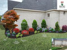 the front yard with landscaping and landscaping information for each house, including trees, shrubs, bushes