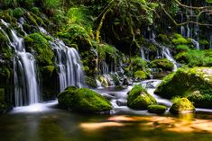 a small waterfall in the middle of a forest filled with green mossy rocks and trees