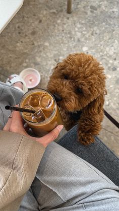 a person holding a drink in their hand with a dog looking on