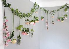 some pink flowers hanging from the side of a wall