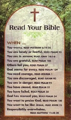 a sign with the words read your bible written on it in front of some trees