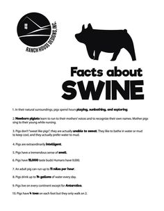 an advertisement with the words, fact about swine