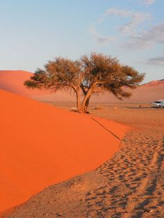 a lone tree in the middle of an orange desert area with a camper and vehicle parked nearby