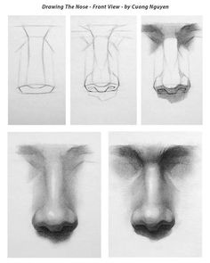 four different stages of drawing the nose