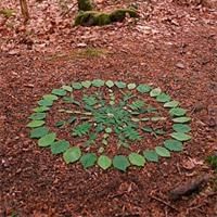 a circular design made out of leaves on the ground