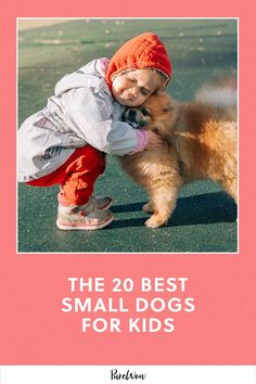 I’ve selected 20 of the best small dogs for kids, taking into account low-energy breeds like the Bolognese or the Cavalier King Charles Spaniel, which are great for families with kids because they don’t require as much exercise outdoors. Low Energy