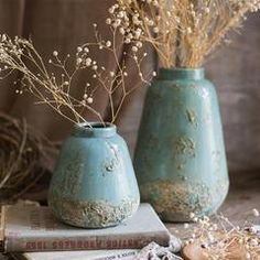 two blue vases with dried flowers in them sitting on top of books and magazines