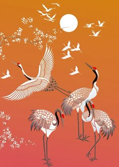 two cranes standing next to each other on a red and orange background with birds flying around