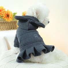 a small white dog wearing a gray sweater