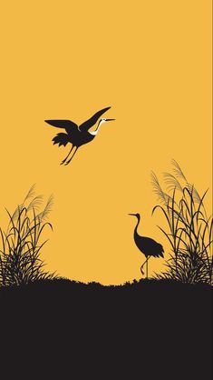 two birds are standing in the grass near some tall grasses and one bird is flying