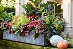 a planter filled with lots of different types of flowers and plants next to a window