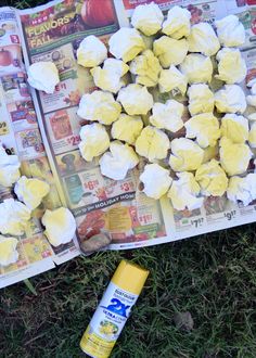 the newspaper is laying on the grass with marshmallows and glue next to it