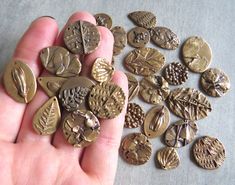 a person is holding some old buttons in their left hand and the other one has leaves on it