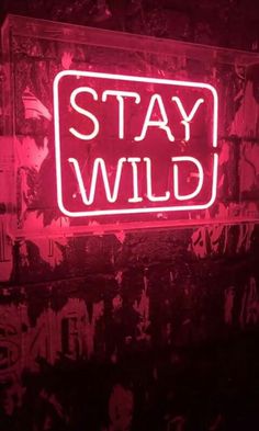 a red neon sign that says stay wild